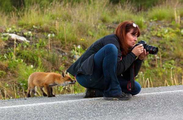 Being a Wildlife Photographer Must Be Awesome (27 photos)