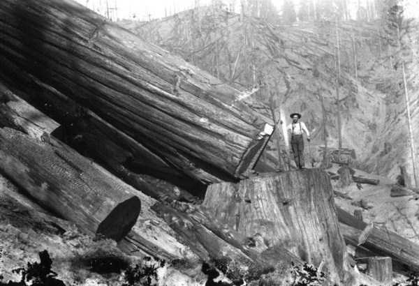 old american loggers 17