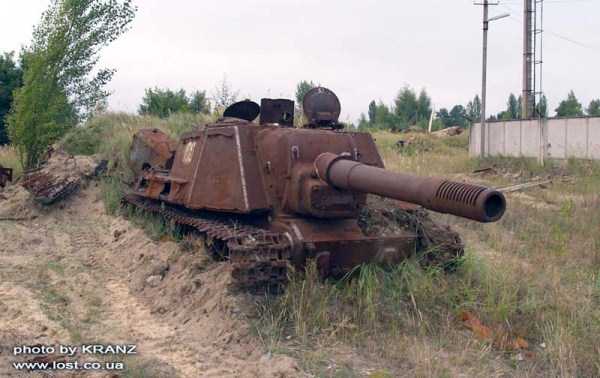 tanks captured by nature 25