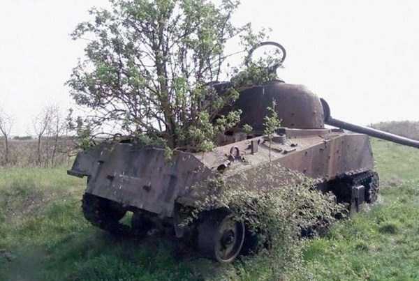 tanks captured by nature 29