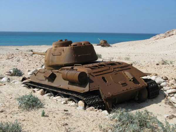 Tanks Commandeered By Nature (41 photos)