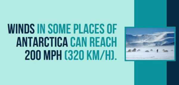 It Turns Out That Antarctica is Awesome (31 photos)