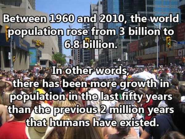 It’s Time for Some Cool and Interesting Facts – Part 31 (22 photos)