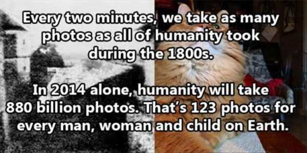 It’s Time for Some Cool and Interesting Facts – Part 31 (22 photos)