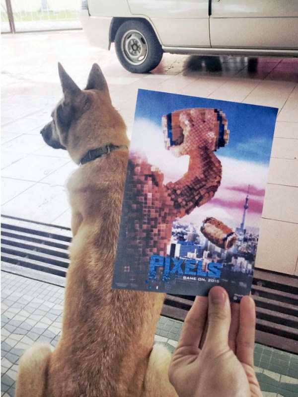 Movie Posters That Blend Perfectly Into Reality (29 photos)