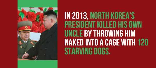 north korea facts trivia 6 27 Oddly Fascinating Facts About North Korea (27 photos)