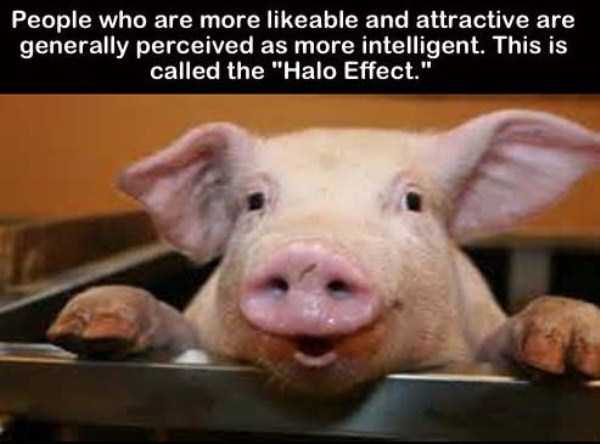 It’s Time for Some Cool and Interesting Facts – Part 29 (38 photos)