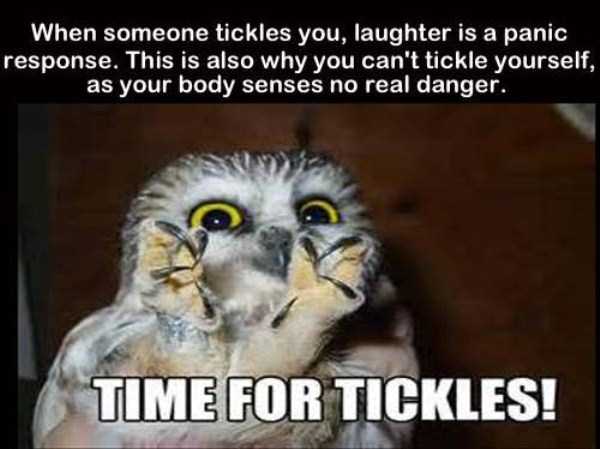 It’s Time for Some Cool and Interesting Facts – Part 29 (38 photos)