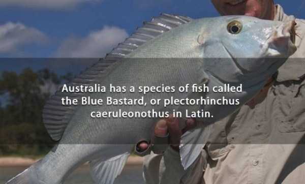 It’s Time for Some Cool and Interesting Facts – Part 34 (47 photos)