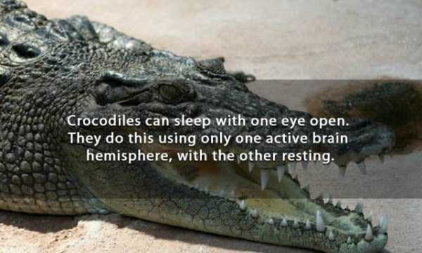 It’s Time for Some Cool and Interesting Facts – Part 34 (47 photos)