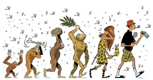 Human Evolution in 42 Illustrations (42 photos)