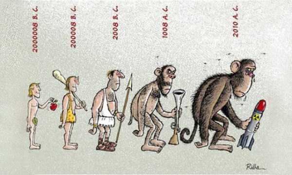 evolution illustrations 15