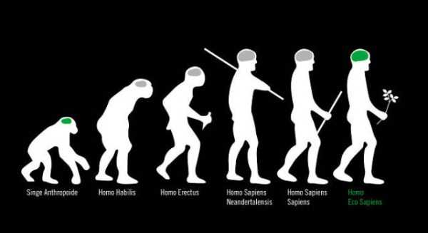 Human Evolution in 42 Illustrations (42 photos)