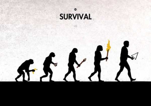 Human Evolution in 42 Illustrations (42 photos)