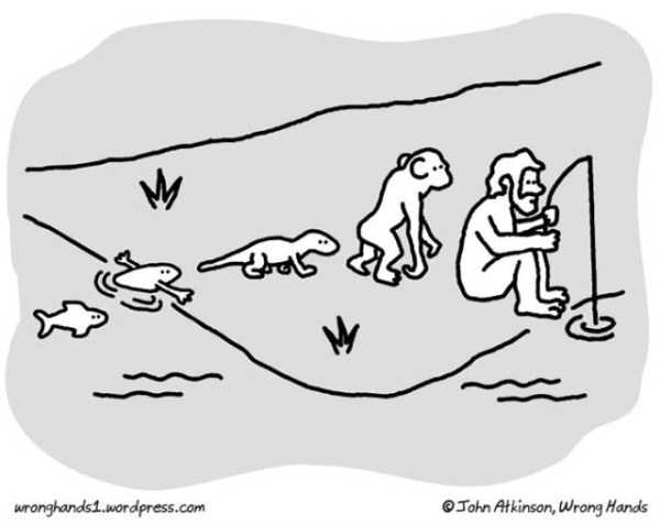 evolution illustrations 9