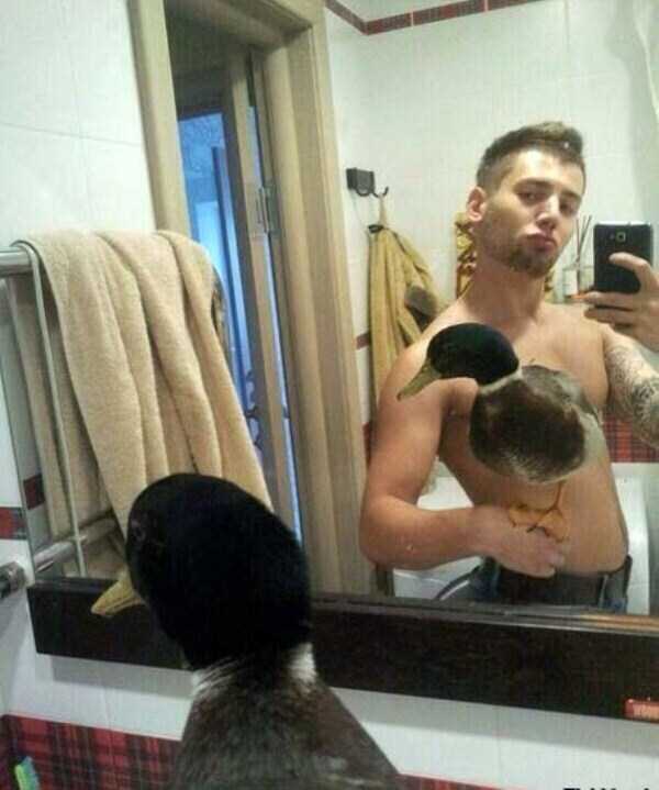 Explain This (41 photos)