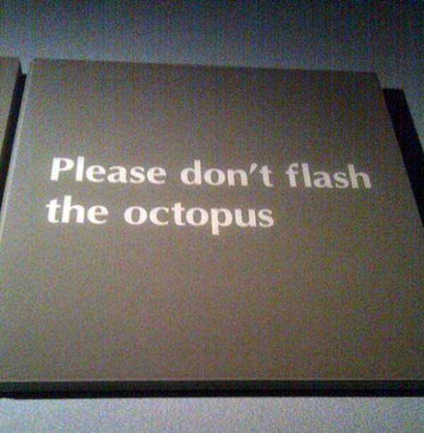 20 Hilariously Pointless Signs (20 photos)