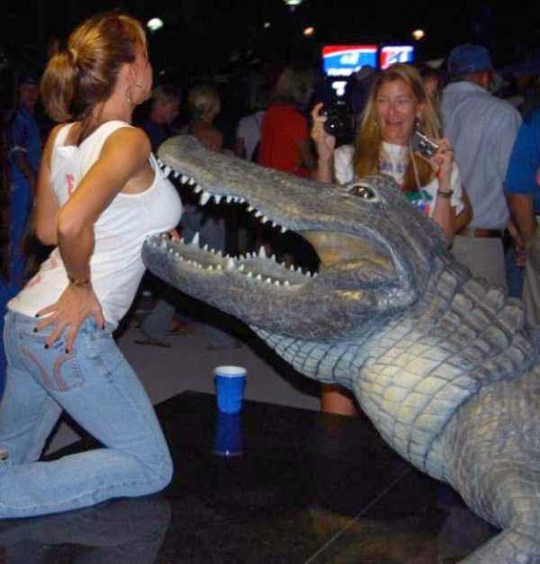 A Little Fun For Adults – Part 48 (73 photos)