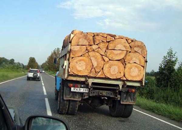 Feed Your Inner Perfectionist With These Exciting Photos (25 photos)