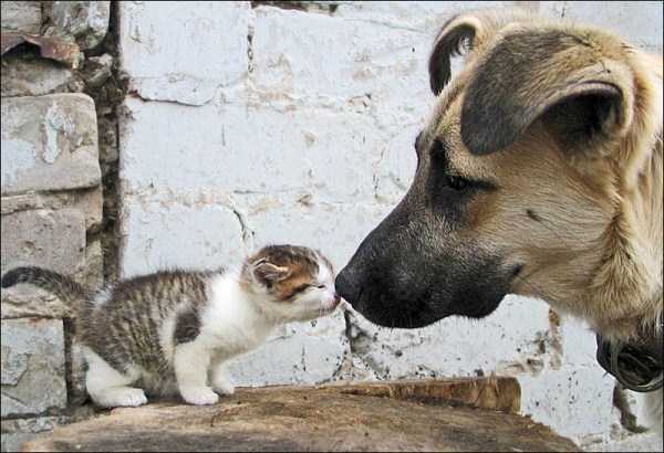 36 Nothing But Awesome Pics (36 photos)
