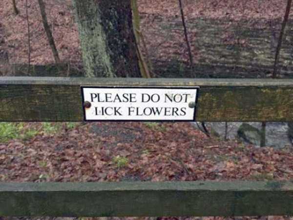 40 Signs That Will Leave You Mildly Confused (40 photos)