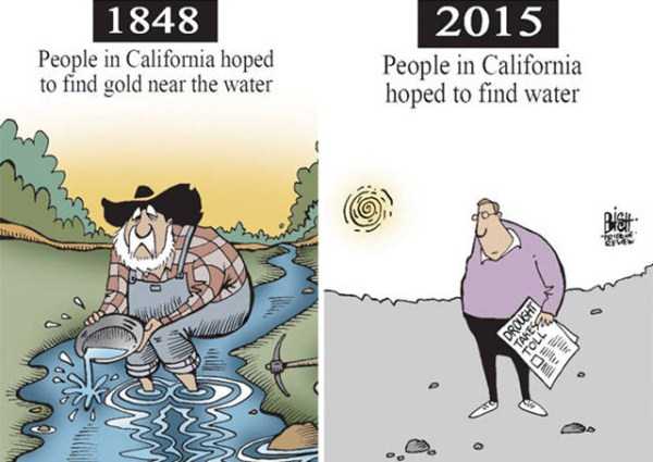 Our World Has Changed Significantly (40 photos)