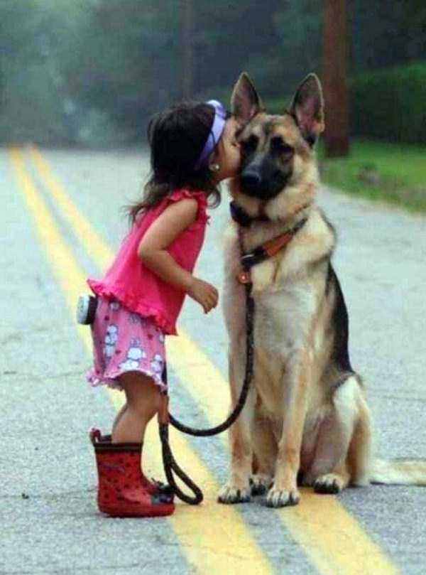 Insanely Patient Pets (30 photos)