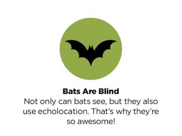 35 Well Known Truths That Are Actually Totally False (35 photos)
