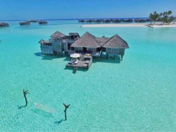 want vs need 7 Oh, Hell Yeah, I Want This (37 photos)