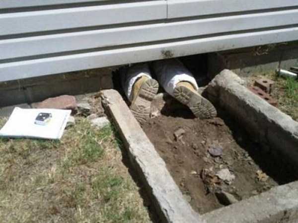 Jobs That Suck (40 photos)