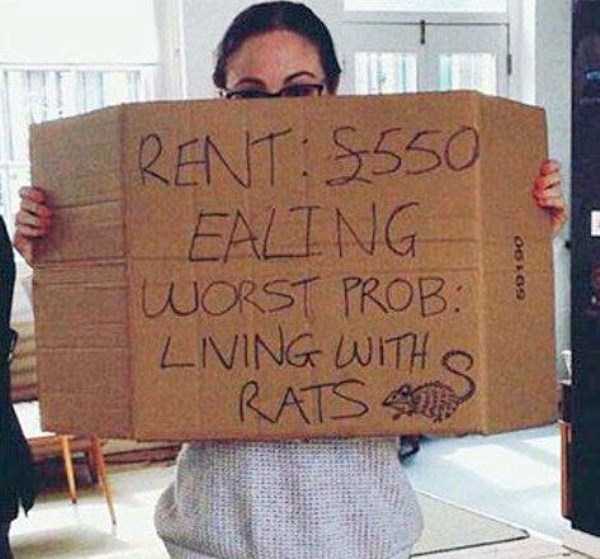 bad renting experinces 2