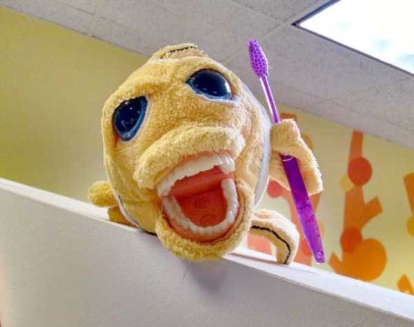 WTF Dentist Toys for Children (18 photos)