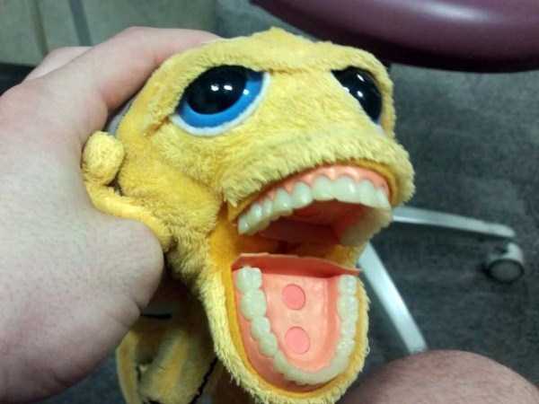 WTF Dentist Toys for Children (18 photos)