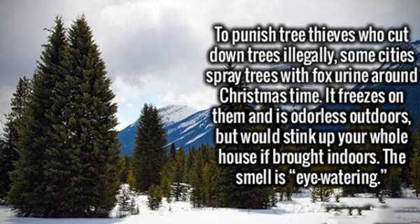 It’s Time For Some Cool And Interesting Facts – Part 36 (37 photos)