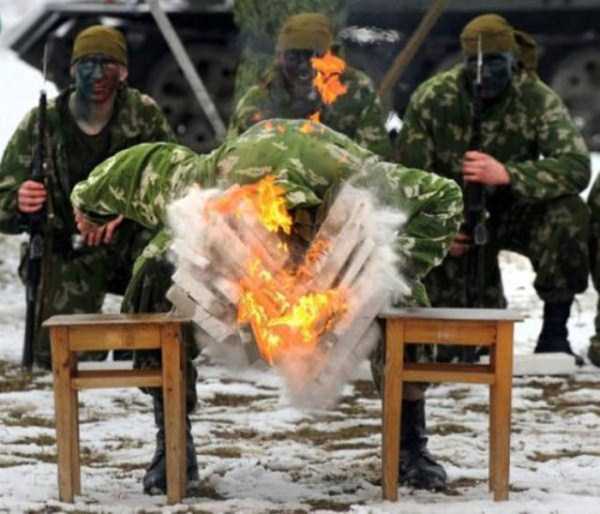 Perfectly Timed Photos (58 photos)