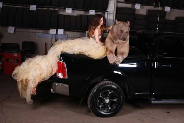 Russian Model Poses With a Giant Bear (20 photos)