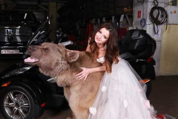 Russian Model Poses With a Giant Bear (20 photos)