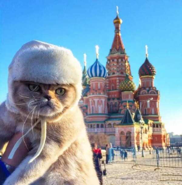 WTF Photos from the Planet Russia (42 photos)