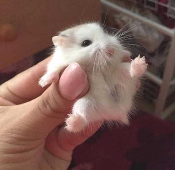 40 Nothing But Awesome Pics (40 photos)