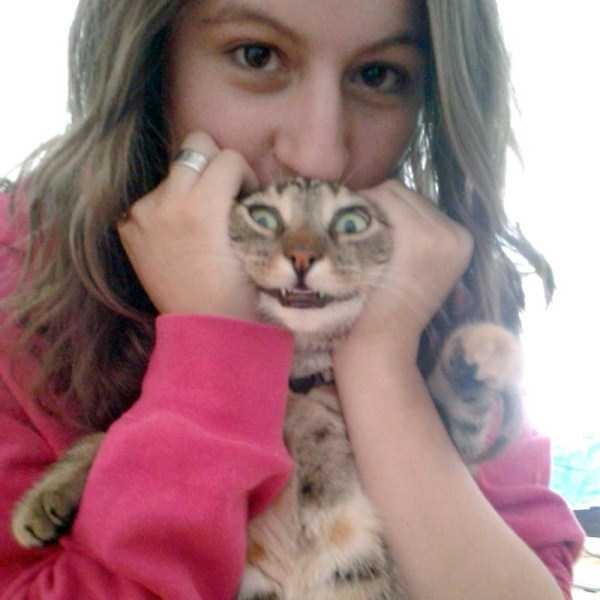 cats hate selfies 11