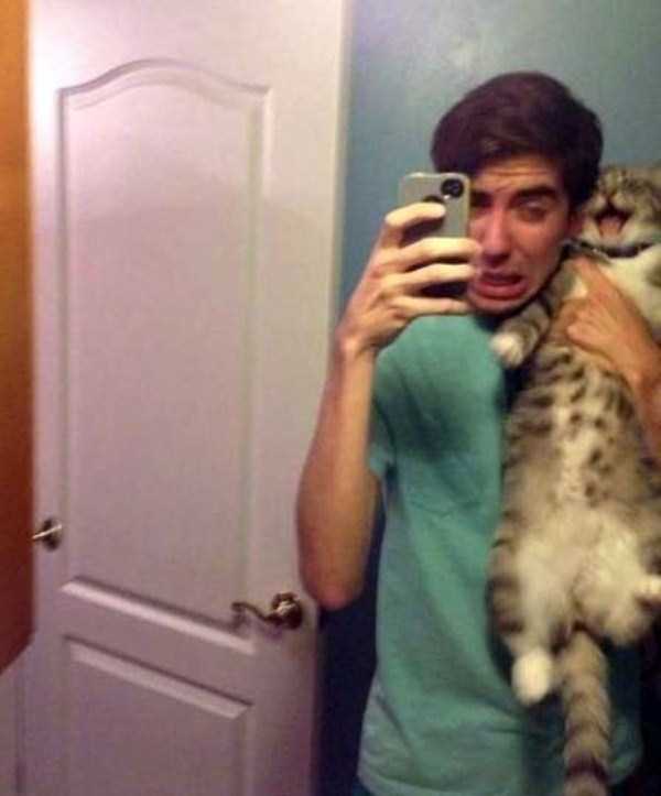 cats hate selfies 23