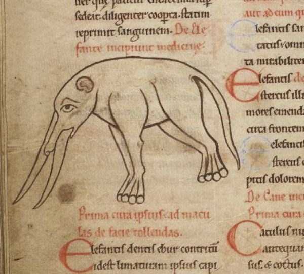 Medieval Drawings of Elephants (23 photos)