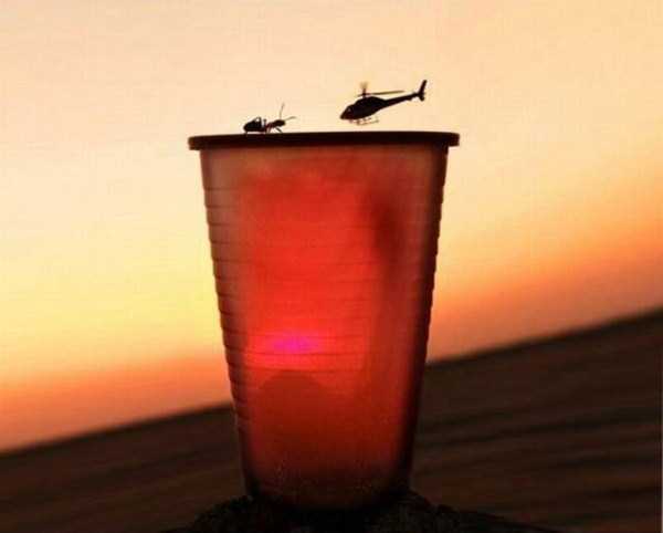 Perfectly Timed Photos (60 photos)