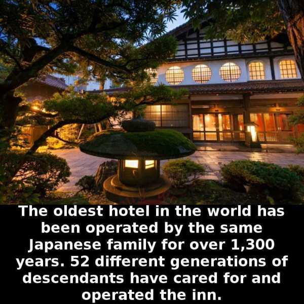 32 Oddly Interesting Facts (32 photos)