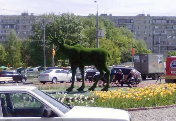 WTF Photos from the Planet Russia (47 photos)