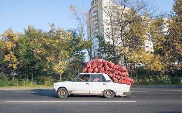 WTF Photos from the Planet Russia (47 photos)