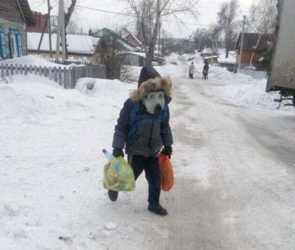 WTF Photos from the Planet Russia (47 photos)