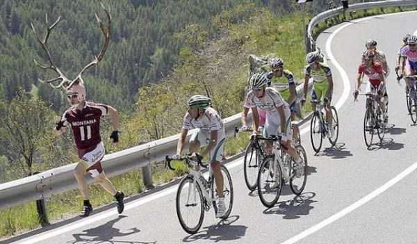 Bike Related Funnies (87 photos)