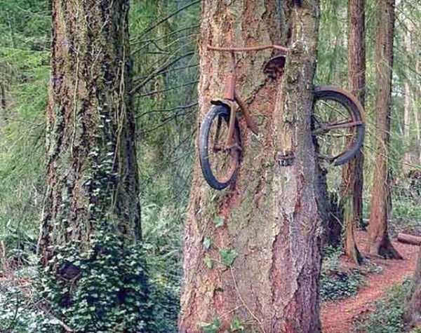 Bike Related Funnies (87 photos)