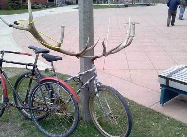 Bike Related Funnies (87 photos)